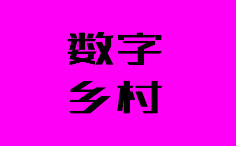 七部委組織編制的指南中指出數字鄉村建設要穩步有序推進